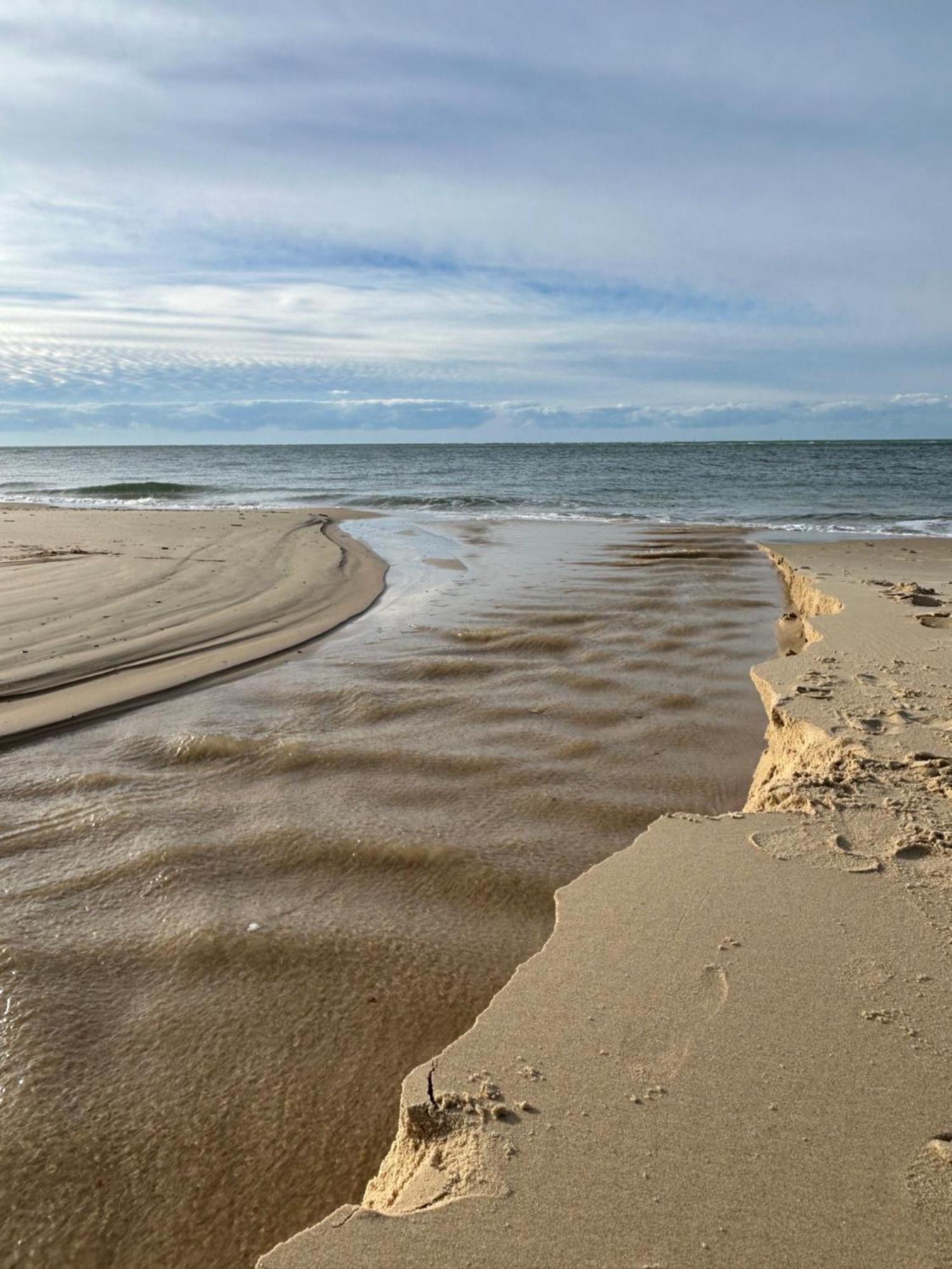 Maison Familiale- Bassin Arcachon - Au Calme *